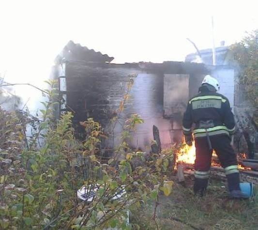 Пожар в Бутурлиновском районе